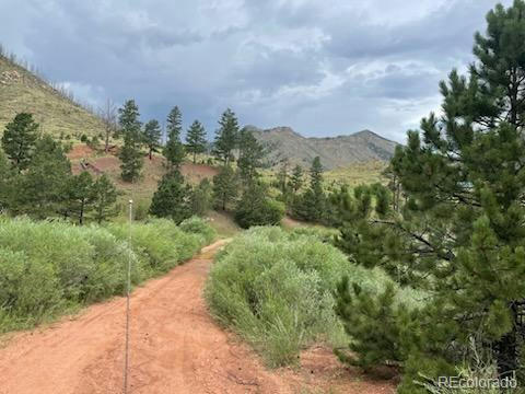 13841 S STATE HIGHWAY 67, WOODLAND PARK, CO 80863, photo 3 of 23